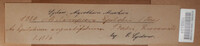 Pucciniastrum epilobii image